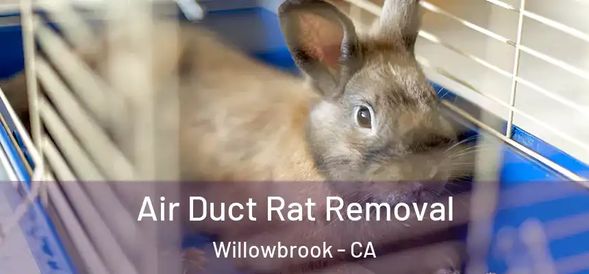 Air Duct Rat Removal Willowbrook - CA