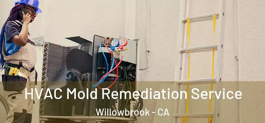  HVAC Mold Remediation Service Willowbrook - CA