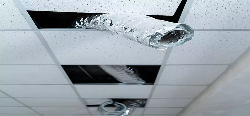 Affordable HVAC Sanitizing After Pest Removal in Willowbrook