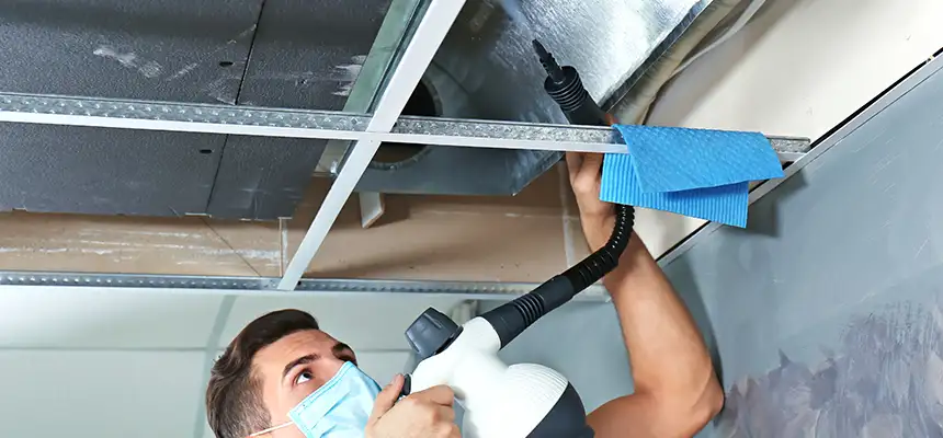 Our Air Duct Rodent Removal Services in Willowbrook, CA