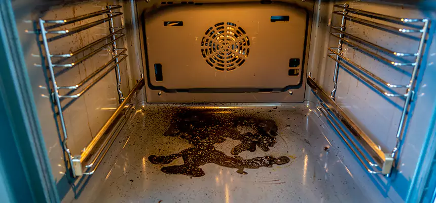 Our Dryer Vent Mold Cleaning Services in Willowbrook, CA