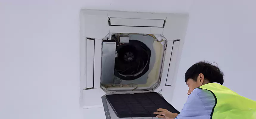 Our Dryer Vent Sanitization Service Services in Willowbrook, CA