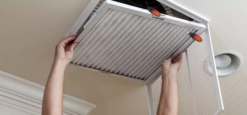Our Insect Removal from Air Ducts Services in Willowbrook, CA