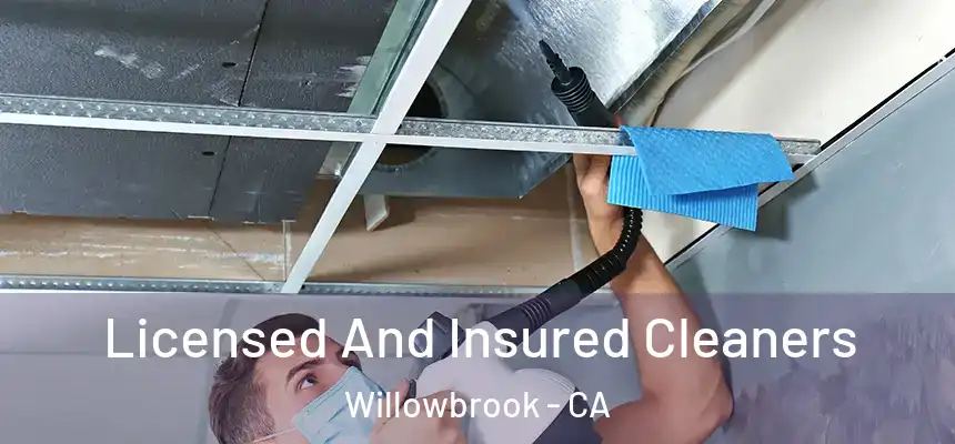 Licensed And Insured Cleaners Willowbrook - CA