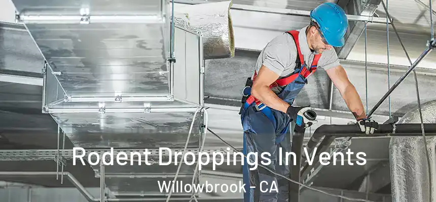 Rodent Droppings In Vents Willowbrook - CA