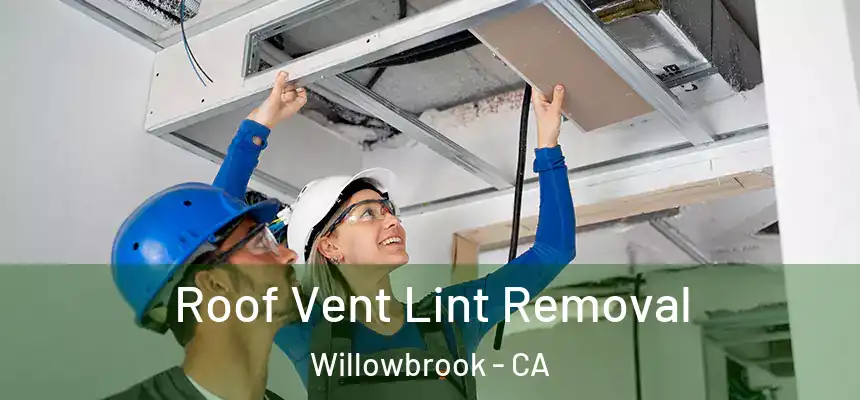 Roof Vent Lint Removal Willowbrook - CA