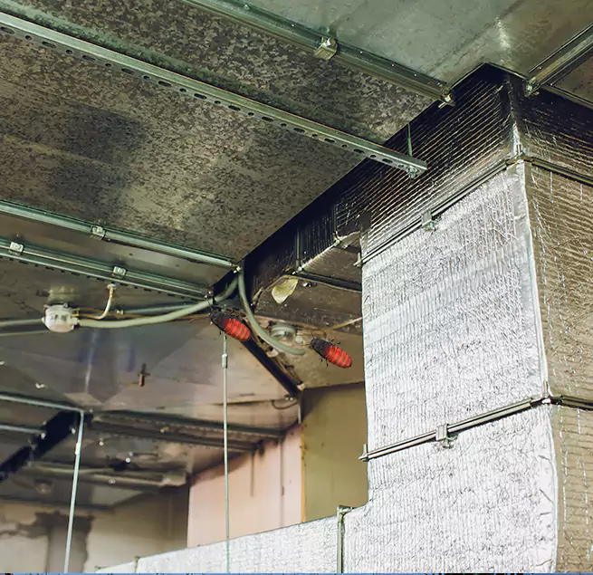 Why Homeowners & Businesses Trust Us in Willowbrook, CA?