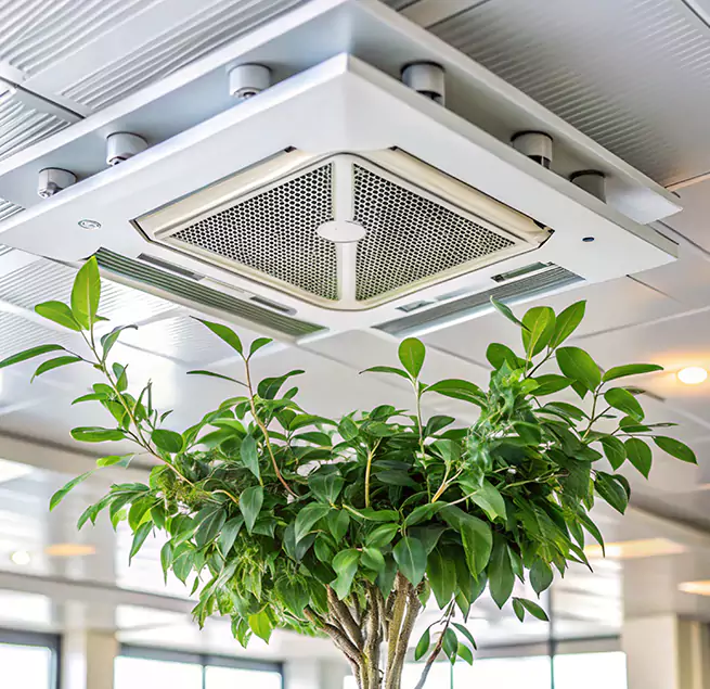 Why Homeowners & Businesses Trust Us in Willowbrook, CA?