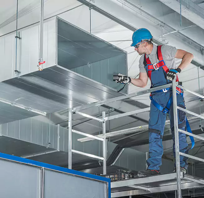 Why Homeowners Businesses Trust Us in Willowbrook, CA