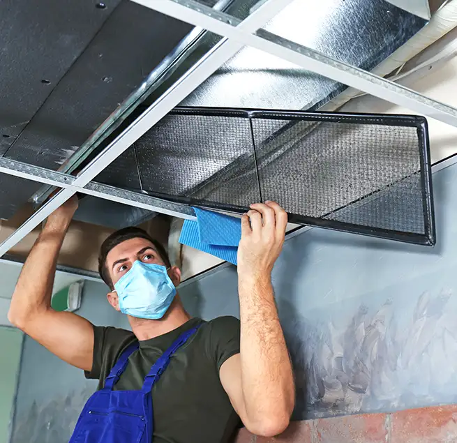 Why Homeowners & Businesses Trust Us in Willowbrook, CA?