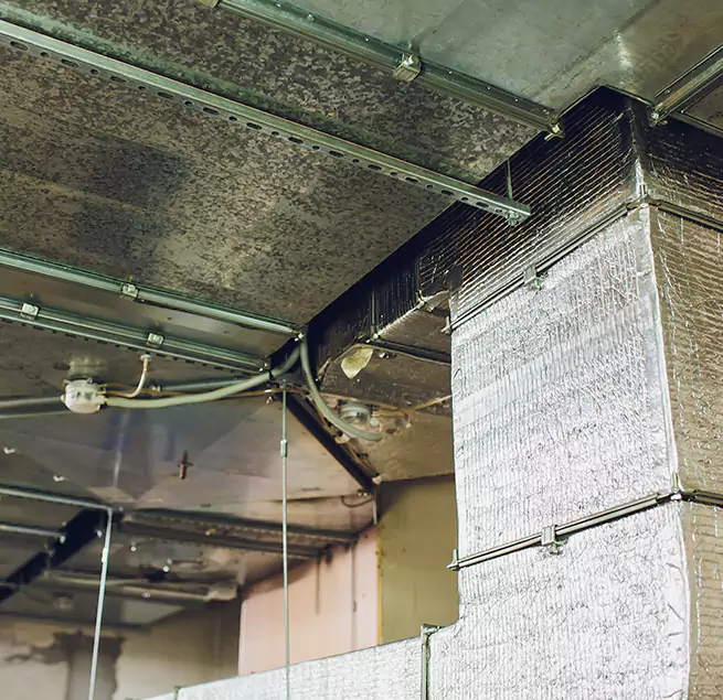 Why Homeowners & Businesses Trust Us in Willowbrook, CA?