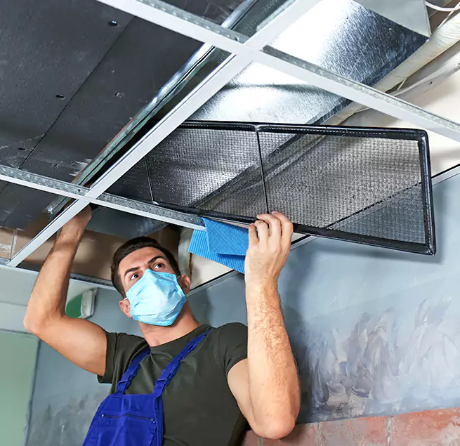 Why Homeowners Businesses Trust Us in Willowbrook, CA?